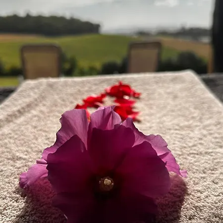 Domaine Lea Chanflaur - - La Maison Du Bonheur بيت للعطل *