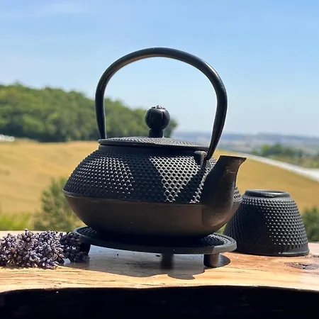 Domaine Lea Chanflaur - - La Maison Du Bonheur Terraube