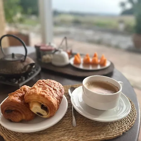 Domaine Lea Chanflaur - - La Maison Du Bonheur Terraube