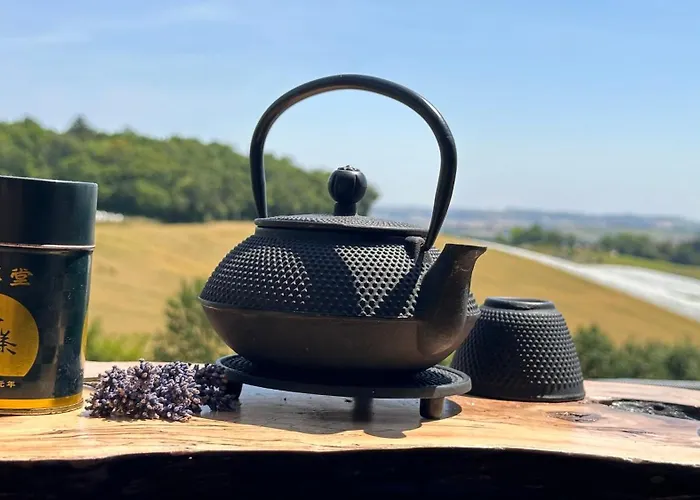 Domaine Lea Chanflaur - - La Maison Du Bonheur Terraube